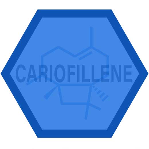 cariofillene